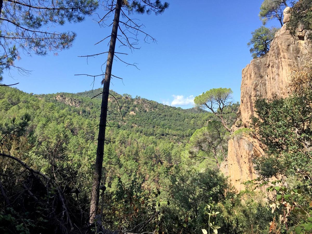 Casa Rural Can Miquel - En Pleno Bosque Y Cerca De La Playa - Increibles Rutas Btt Santa Coloma De Farners Luaran gambar